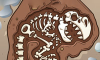 Image de Creuseur de dinosaures