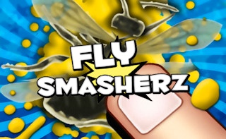 Image de Fly SmasherZ